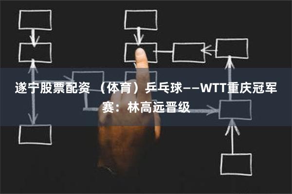 遂宁股票配资 （体育）乒乓球——WTT重庆冠军赛：林高远晋级