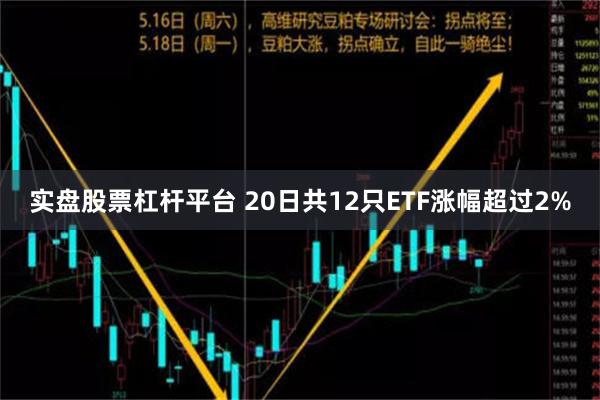 实盘股票杠杆平台 20日共12只ETF涨幅超过2%