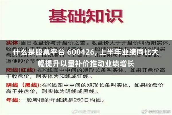 什么是股票平台 600426, 上半年业绩同比大幅提升以量补价推动业绩增长