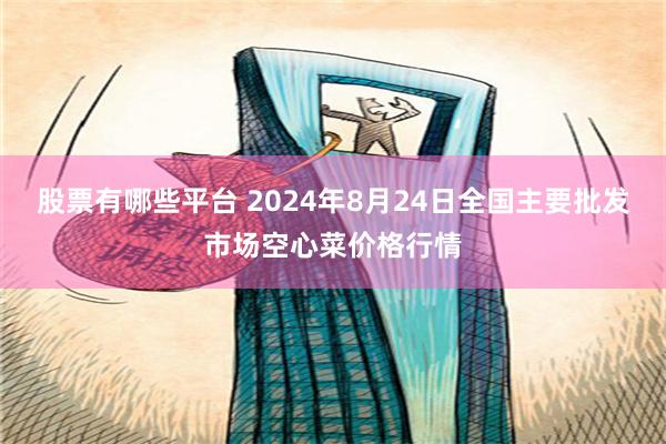 股票有哪些平台 2024年8月24日全国主要批发市场空心菜价格行情