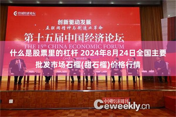 什么是股票里的杠杆 2024年8月24日全国主要批发市场石榴(甜石榴)价格行情