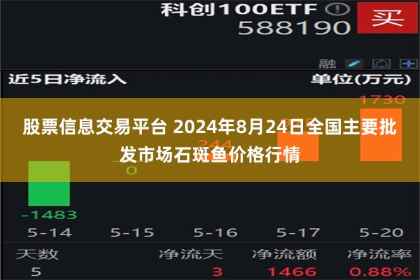 股票信息交易平台 2024年8月24日全国主要批发市场石斑鱼价格行情