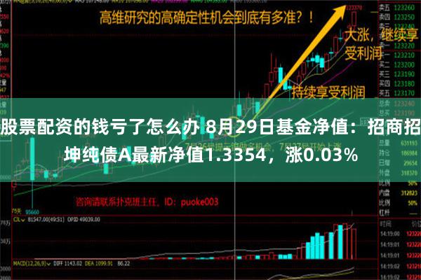 股票配资的钱亏了怎么办 8月29日基金净值：招商招坤纯债A最新净值1.3354，涨0.03%