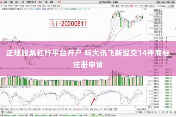 正规股票杠杆平台开户 科大讯飞新提交14件商标注册申请