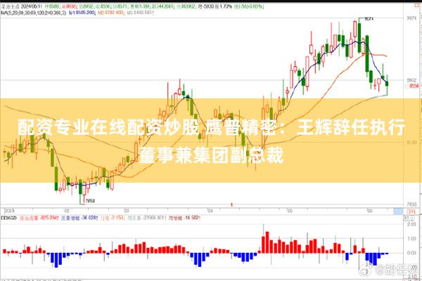 配资专业在线配资炒股 鹰普精密：王辉辞任执行董事兼集团副总裁