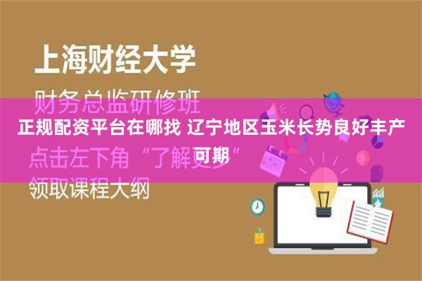 正规配资平台在哪找 辽宁地区玉米长势良好丰产可期