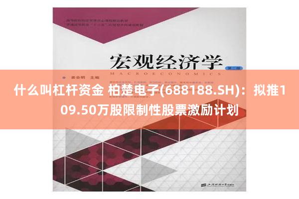 什么叫杠杆资金 柏楚电子(688188.SH)：拟推109.50万股限制性股票激励计划