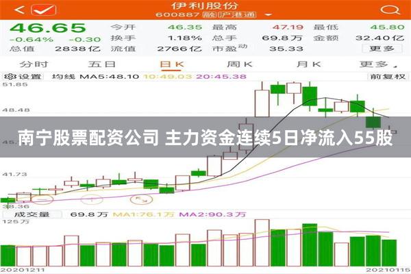 南宁股票配资公司 主力资金连续5日净流入55股