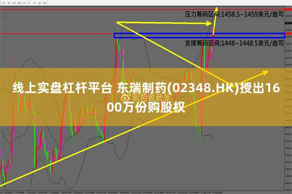 线上实盘杠杆平台 东瑞制药(02348.HK)授出1600万份购股权