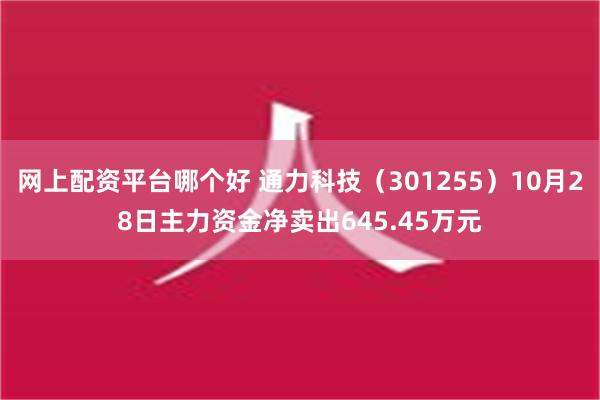 网上配资平台哪个好 通力科技（301255）10月28日主力资金净卖出645.45万元