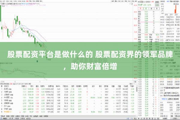 股票配资平台是做什么的 股票配资界的领军品牌，助你财富倍增