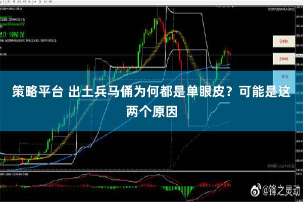 策略平台 出土兵马俑为何都是单眼皮？可能是这两个原因