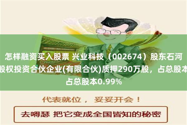 怎样融资买入股票 兴业科技（002674）股东石河子万兴股权投资合伙企业(有限合伙)质押290万股，占总股本0.99%