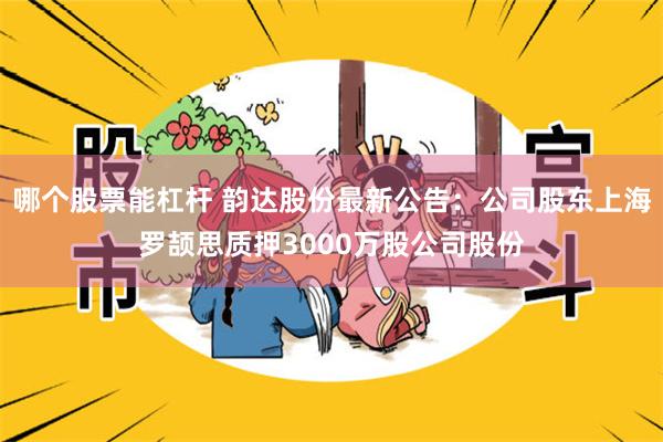 哪个股票能杠杆 韵达股份最新公告：公司股东上海罗颉思质押3000万股公司股份