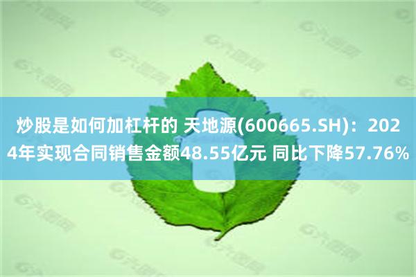 炒股是如何加杠杆的 天地源(600665.SH)：2024年实现合同销售金额48.55亿元 同比下降57.76%