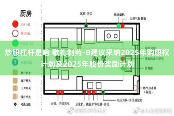 炒股杠杆是啥 歌礼制药-B建议采纳2025年购股权计划及2025年股份奖励计划