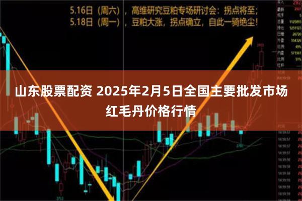 山东股票配资 2025年2月5日全国主要批发市场红毛丹价格行情