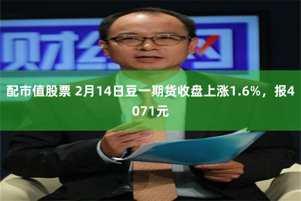 配市值股票 2月14日豆一期货收盘上涨1.6%，报4071元